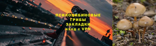 винт Алексеевка