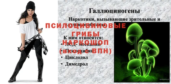 ПСИЛОЦИБИНОВЫЕ ГРИБЫ Алзамай
